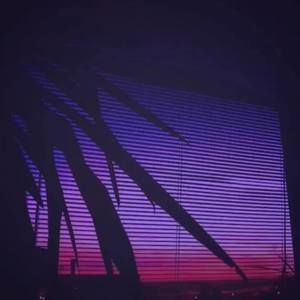 Meet your Posher, Pedro